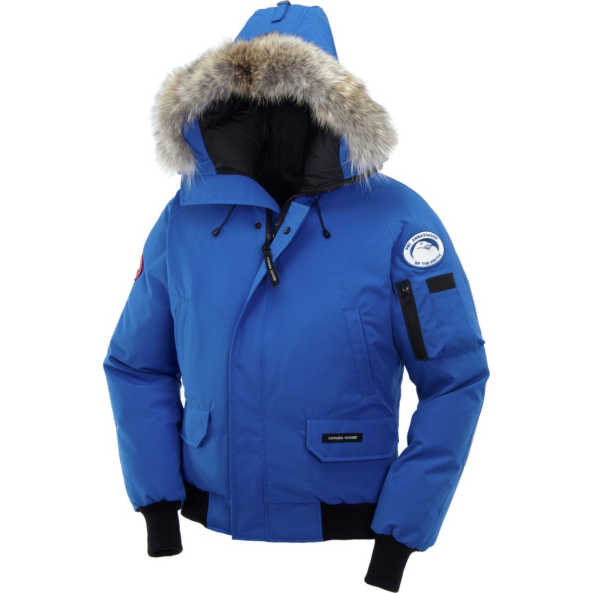 Goose Canada clothing pictures forecasting to wear in everyday in 2019 Goose Canada clothing pictures recommendations to wear for winter in 2019