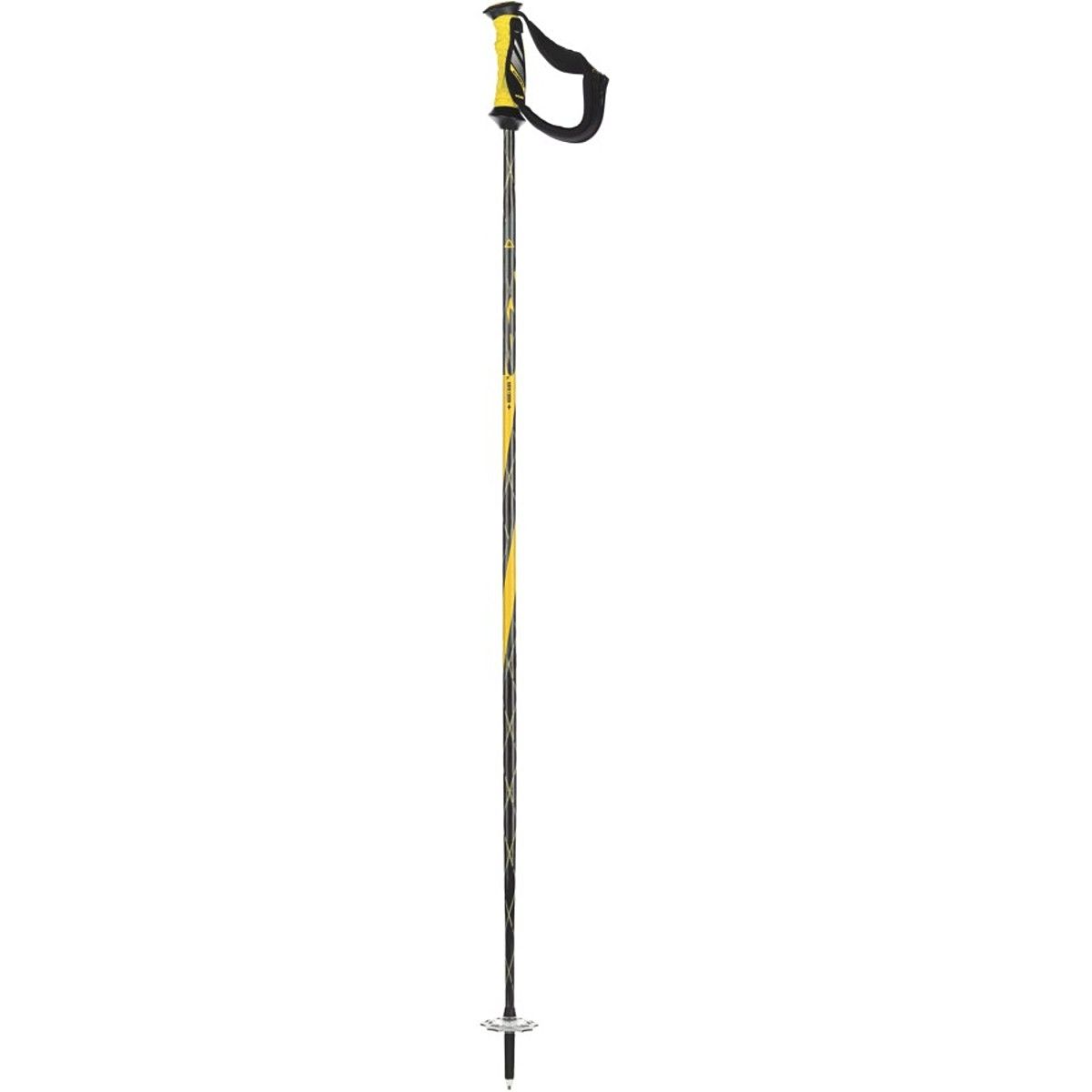 Alpine Touring/Telemark Pole Reviews