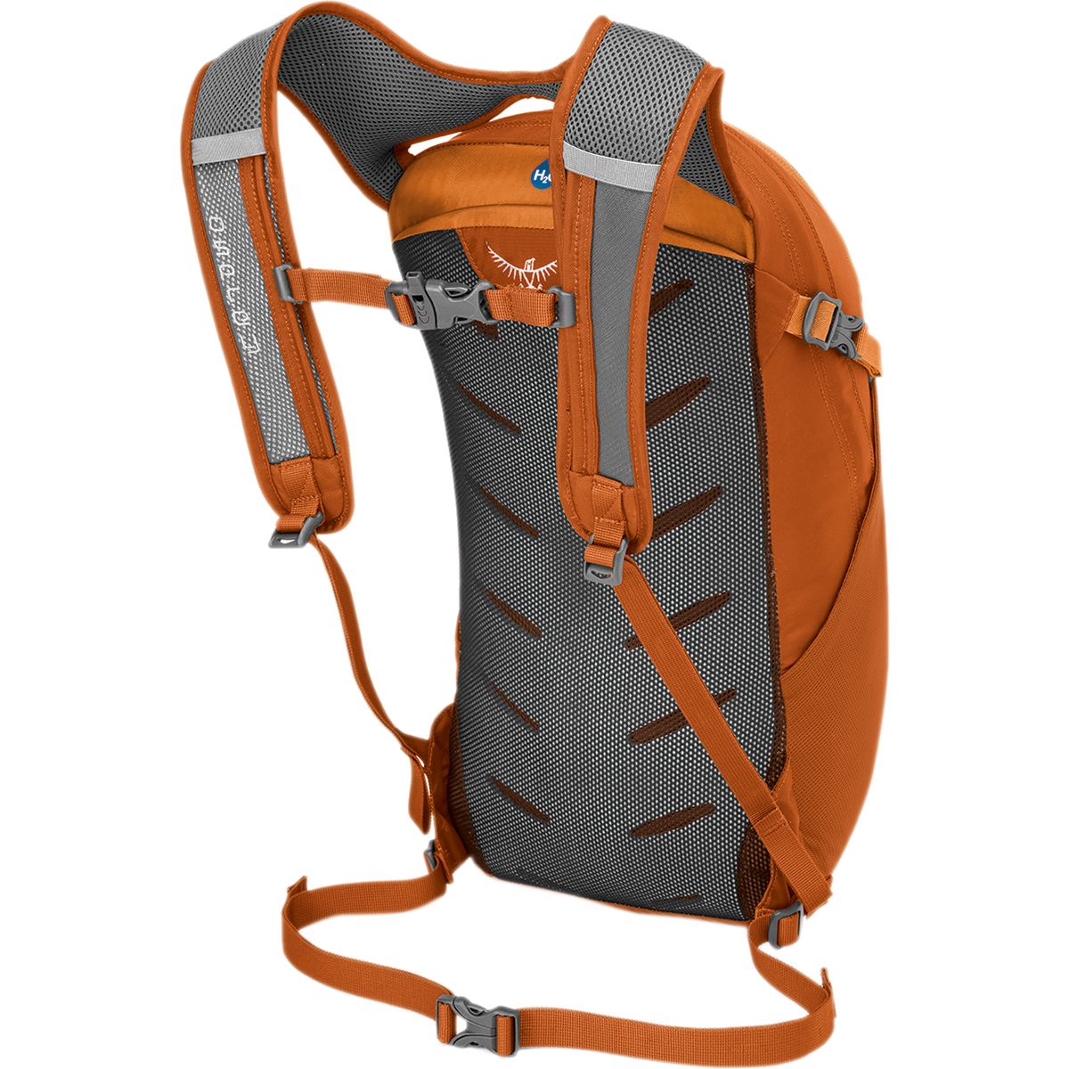 Osprey Packs Daylite Backpack eBay