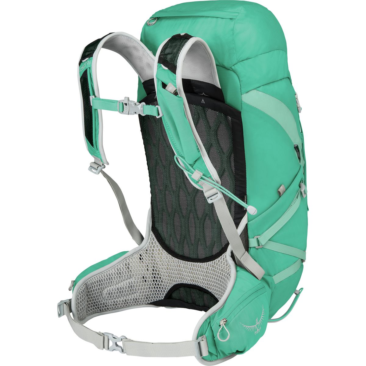 Osprey Packs Tempest 30L Backpack Women's eBay