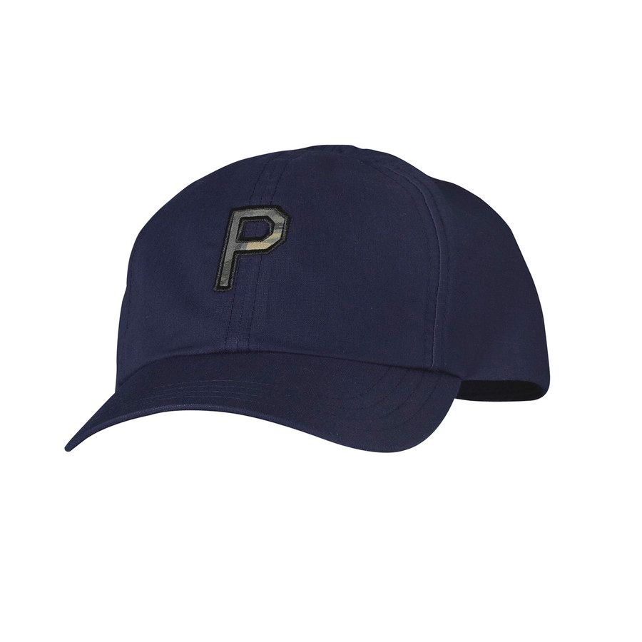 Patagonia Logo Hat Baseball Caps