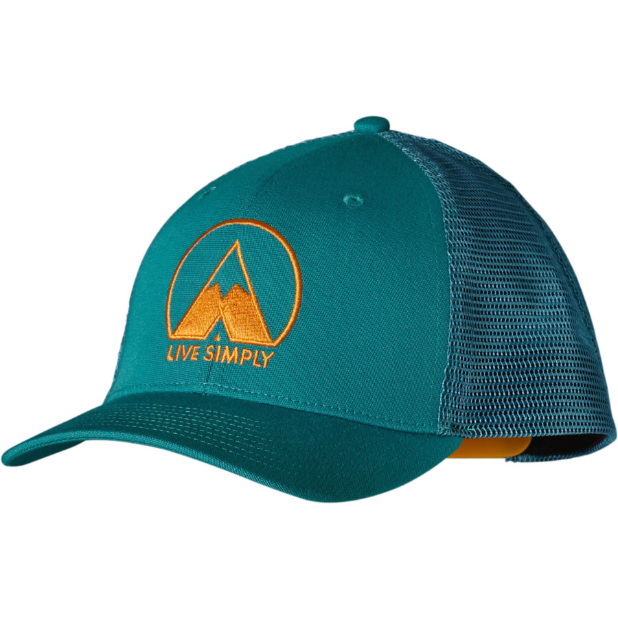 vintage patagonia trucker hat