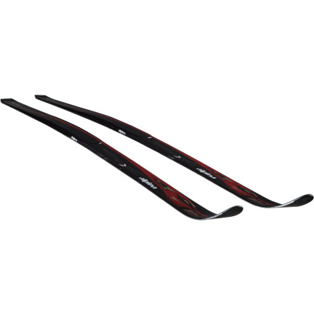 Alpina Red Tail