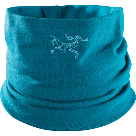 Arc'teryx RHO LTW Neck Gaiter