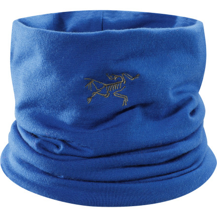 Arc'teryx Rho LTW Neck Gaiter