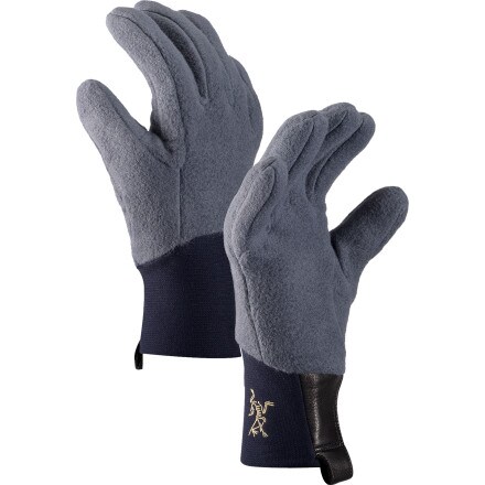 Arc'teryx Delta AR Glove