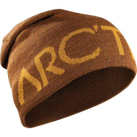Arc'teryx Word Head Long Toque