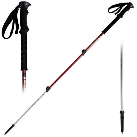 Black Diamond Trail Trekking Poles - 1 Pair - 2006