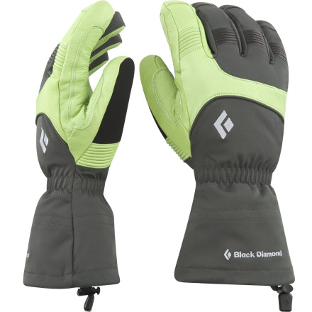 Black Diamond Prodigy Glove - Men's - 2008
