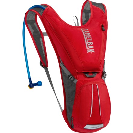 CamelBak Rogue