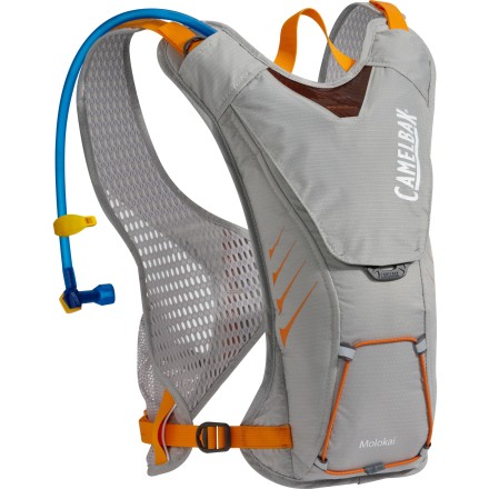 CamelBak Molokai Hydration Backpack | Back