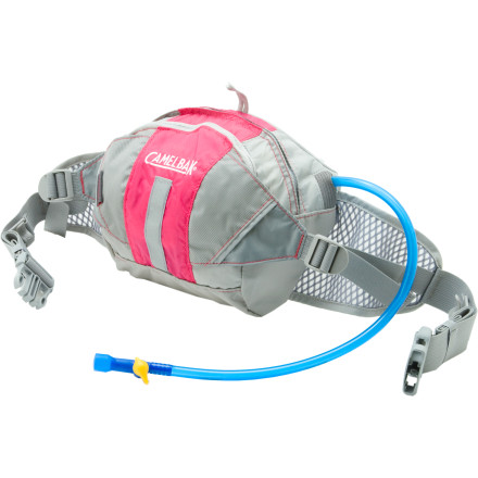 CamelBak FlashFlo Lumbar Pack - 2007