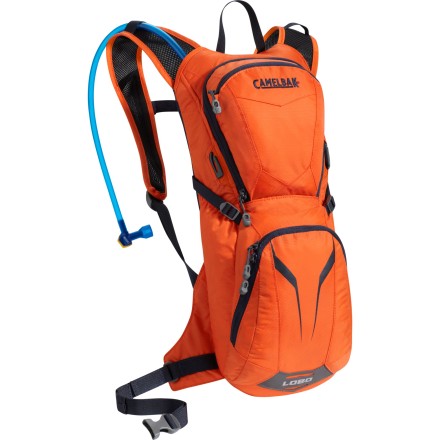 CamelBak Lobo
