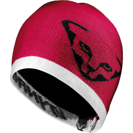Dynafit Pivot Summer Beanie