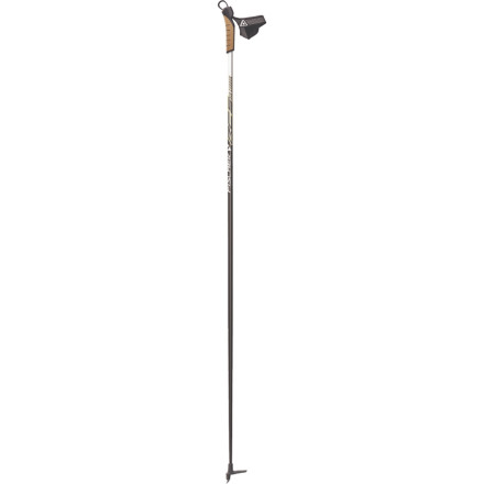 Fischer RC5 Ski Pole - 2009