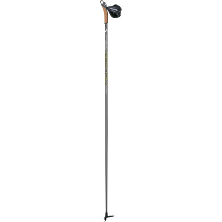 Fischer RC6 Quick Fit