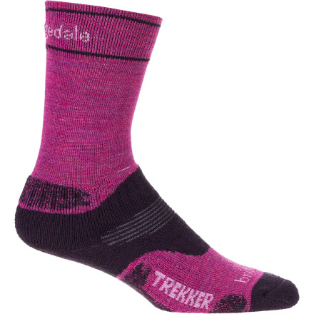Bridgedale Endurance Trekker