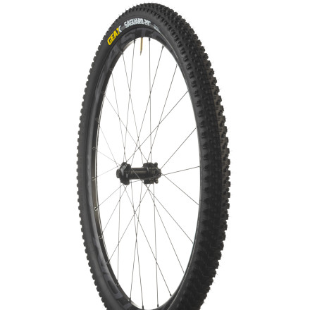 geax saguaro 29 x 2.2