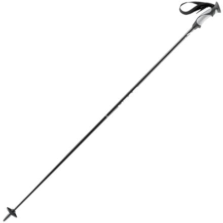 Head Skis USA I Carbon Ski Pole - 2008