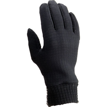 Hestra Polartec Power Dry Waffled Glove - 2010