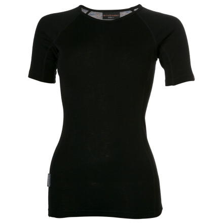 Icebreaker Contour Crewe Short-Sleeve - Women's - 2007
