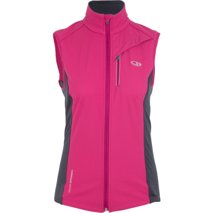 Icebreaker Gust Vest