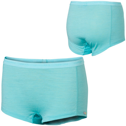 Icebreaker BodyFit 150 Boy Short - Women's - 2007