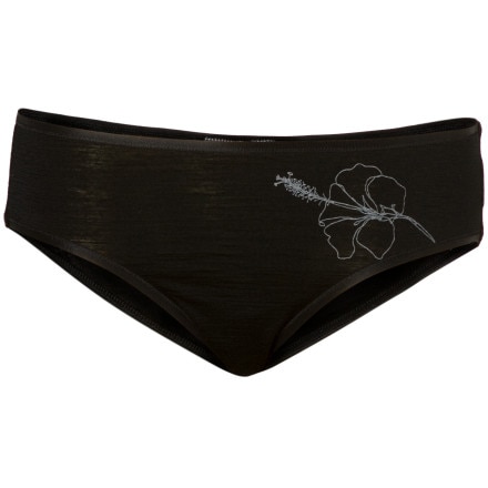 Icebreaker Nature Ultralite Hipster Underwear - Women's - 2007