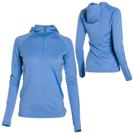 Icebreaker GT220 Swift Hooded Top - Long-Sleeve - Women's - 2008