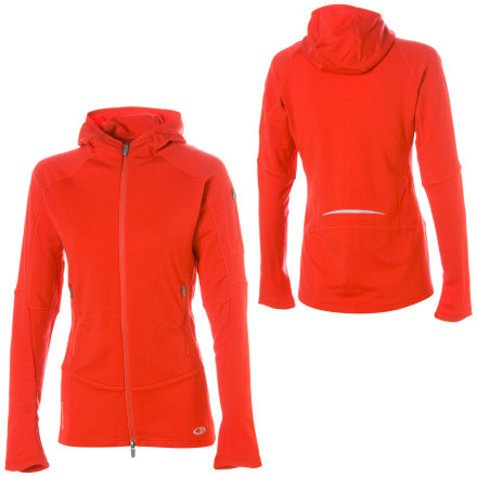Icebreaker GT340 Transition Hooded Jacket - Women's - 2008