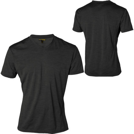 Icebreaker Beast 150 Apollo V-Neck T-Shirt - Short-Sleeve - Men's - 2008