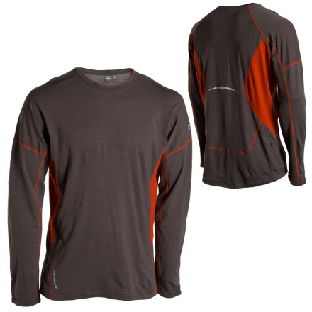 Icebreaker Icebreaker GT180 Chase Crewe - Long-Sleeve - Men's - 2008