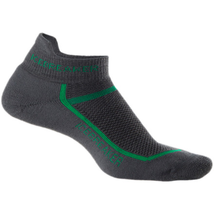 Icebreaker Multisport Cushion Micro