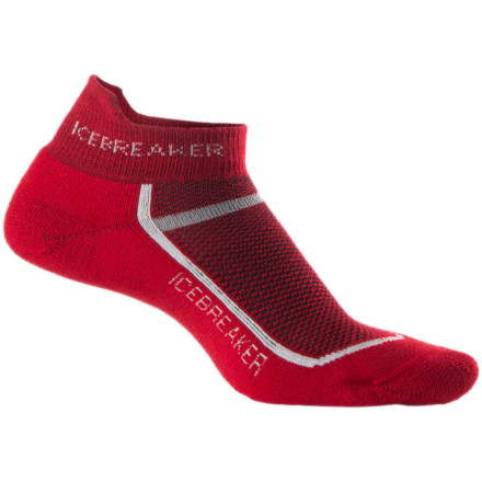 Icebreaker Multisport Cushion Micro