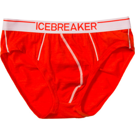 Icebreaker Anatomica Brief