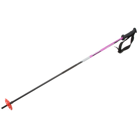 Life-Link Variant Ski/Probe Pole - 2008