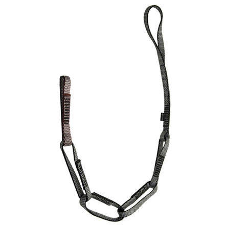 Metolius PAS w/out Carabiner - 2007