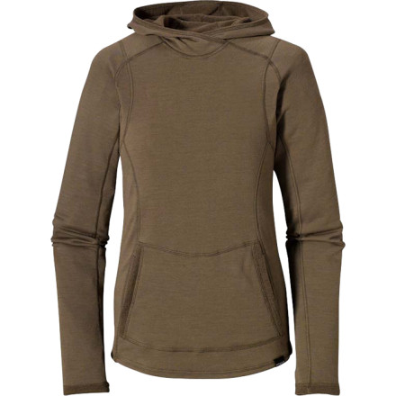 Patagonia Wool 4 Hoody - Long-Sleeve - Women's - 2008