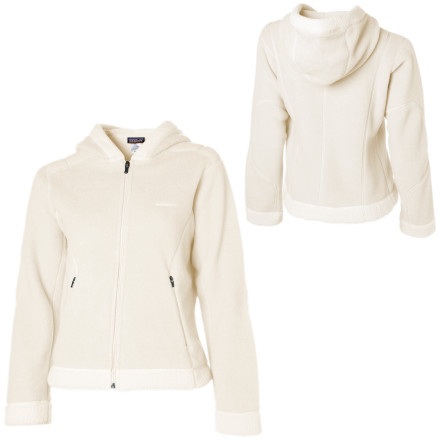 Patagonia Synchilla Arctic Jacket - Women's - 2008