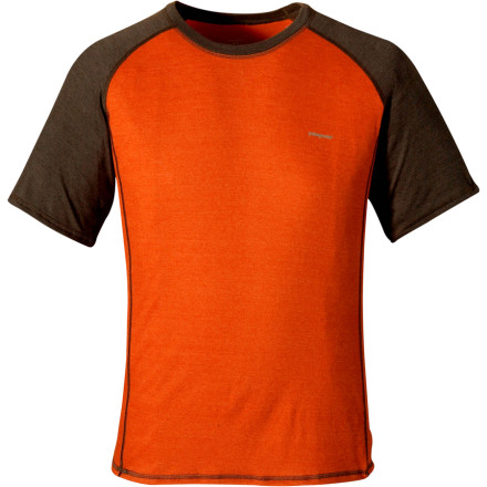Patagonia Wool 1 T-Shirt - Short-Sleeve - Men's - 2009