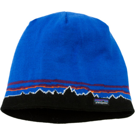 Patagonia Beanie Hat - 2010