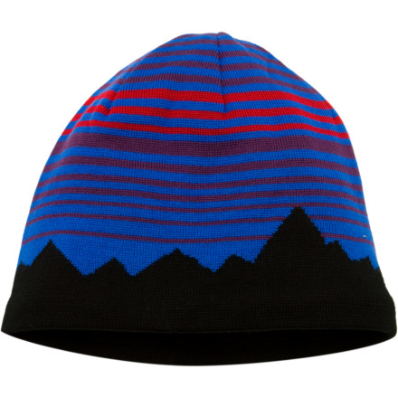 Patagonia Lined Beanie - 2010