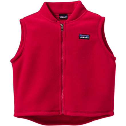 Patagonia Synchilla Vest