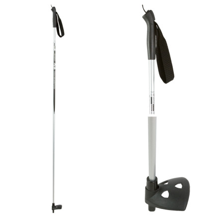 Rossignol Explorer Nordic Ski Pole - 2009