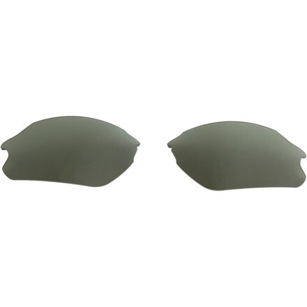 Smith Parallel D Max Replacement Lenses Polarized Gray Green, One Size