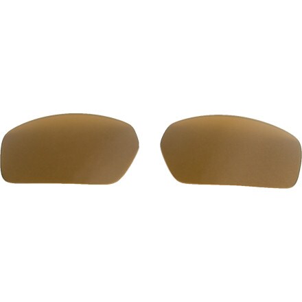 Smith Spoiler Replacement Lenses Polarized Brown, One Size