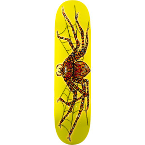 Anti-Hero Antisect Skate Deck