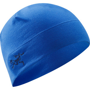 Rho LTW Beanie