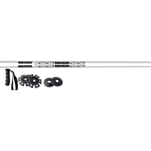 Motive Ski Pole