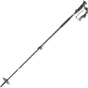 Pure Carbon Ski Pole